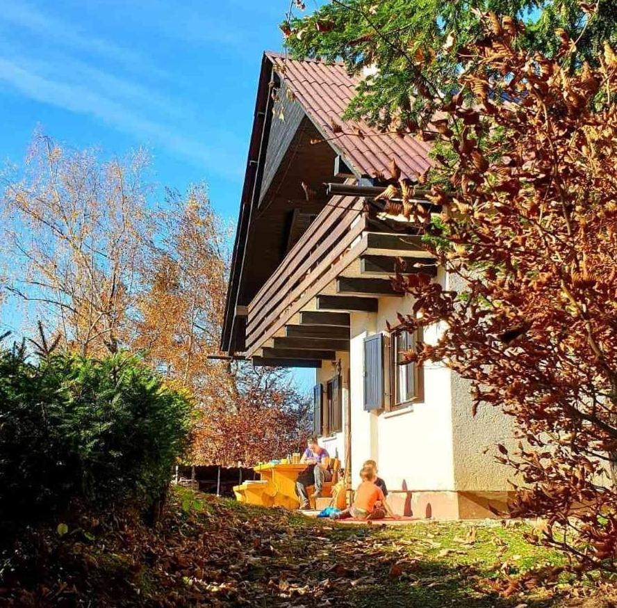 Вилла Pet & Family Friendly House Viktorija - House Near Golica With Triglav View Есенице Экстерьер фото