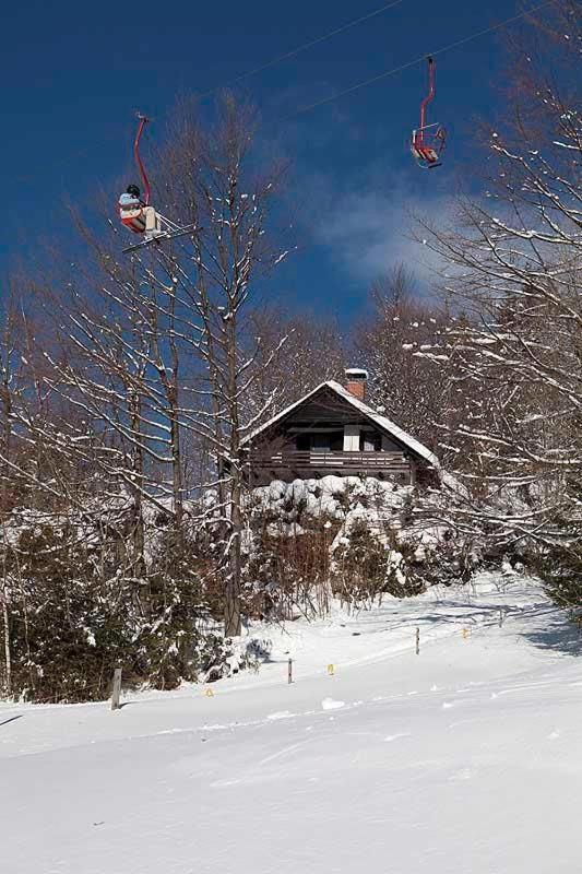 Вилла Pet & Family Friendly House Viktorija - House Near Golica With Triglav View Есенице Экстерьер фото